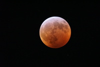 Blood Moon Eclipse