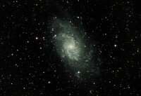 Spiral Galaxy NGC 4565